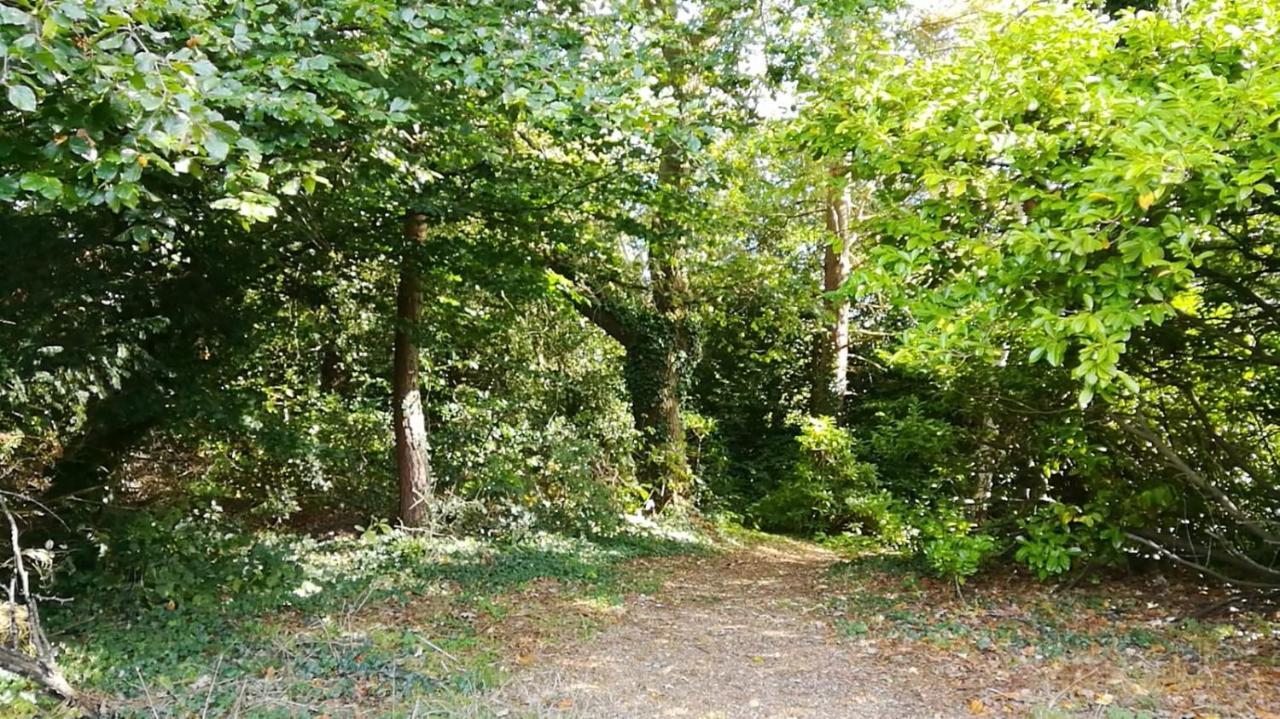 Many Worlds Meet - Eurostar, Wimbledon 30 Mins, Central London, Gatwick 15 Mins - Spacious, Sleeps Up To 16 Plus Cot - Free Wifi, Parking - Next To Lloyd Park, Great For Families, Walkers, Relocators - Ideal For Contractors 크로이던 외부 사진