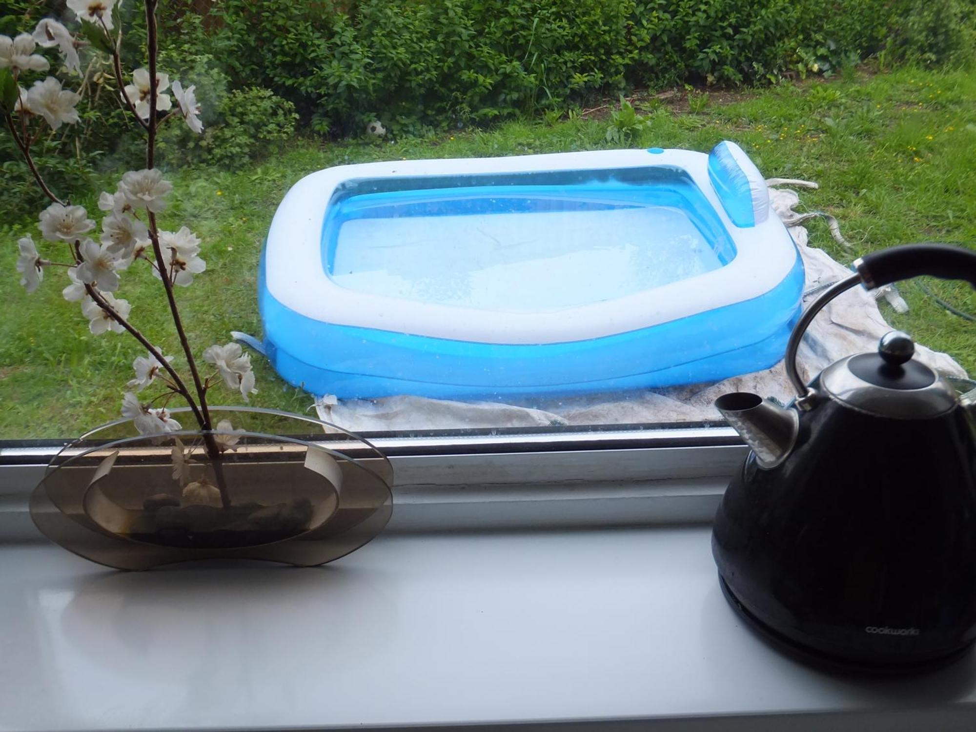 Many Worlds Meet - Eurostar, Wimbledon 30 Mins, Central London, Gatwick 15 Mins - Spacious, Sleeps Up To 16 Plus Cot - Free Wifi, Parking - Next To Lloyd Park, Great For Families, Walkers, Relocators - Ideal For Contractors 크로이던 외부 사진